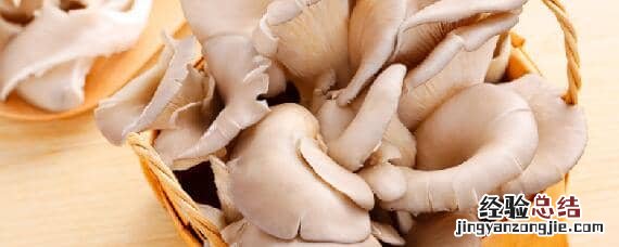 冬季平菇接种什么温型 中低温 冬季平菇接种什么温型