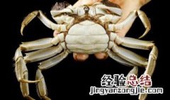 螃蟹壳里的东西能吃吗 螃蟹壳里的东西能吃吗视频