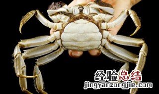 螃蟹壳里的东西能吃吗 螃蟹壳里的东西能吃吗视频
