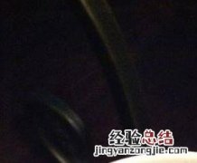 冰糖银耳汤的功效 红枣冰糖银耳汤的功效
