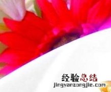 松仁玉米的配料 松仁玉米材料和做法