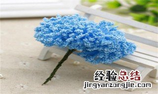 满天星蓝色和粉色代表什么 粉蓝色的满天星
