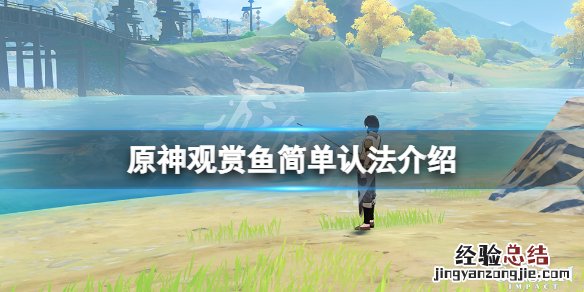 原神怎么辨别观赏鱼 原神观赏鱼怎么判断