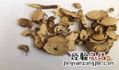 苦参的功效与作用 下面带大家一起了解下