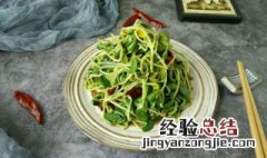 拌黑豆苗的做法 拌黑豆苗的做法步骤
