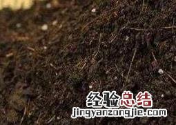 花土怎么配 花土怎么配疏松透气