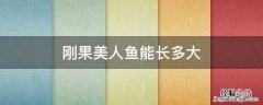 刚果美人鱼能长多大 刚果美人鱼能长多大百科