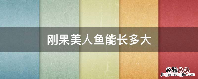 刚果美人鱼能长多大 刚果美人鱼能长多大百科