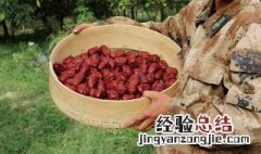 大枣的功效与作用 补血养神