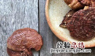 灵芝如何食用 食用灵芝方法