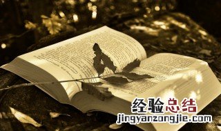 朝拜是什么意思 朝拜解释