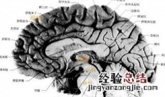 脑的组成 一个台式电脑的组成