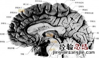 脑的组成 一个台式电脑的组成