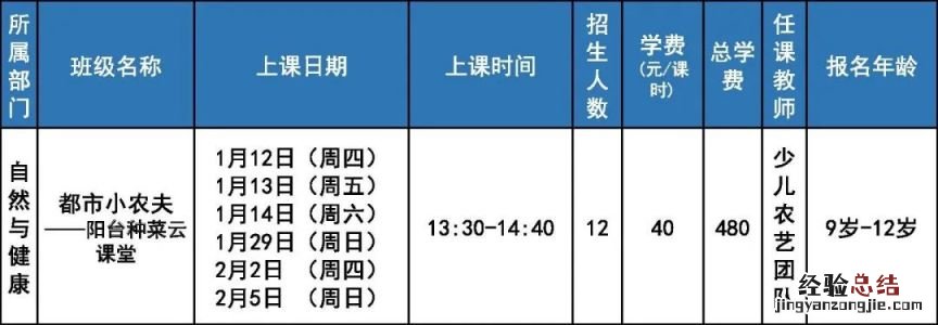 2023北京市少年宫寒假短期线上课程报名通知发布