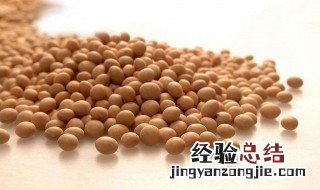 黄豆的功效与作用 黄豆的功效与作用有哪些呢