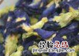 蝶豆花的功效与作用 蝶豆花的功效与作用及禁忌