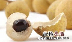 龙眼的功效与作用 益气补血增强记忆