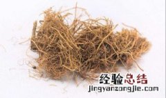 细辛的功效与作用 细辛的功效与作用有哪些呢