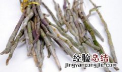 铁皮石斛如何食用 铁皮石斛食用方法