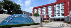 WFL学校 wfl是什么学校