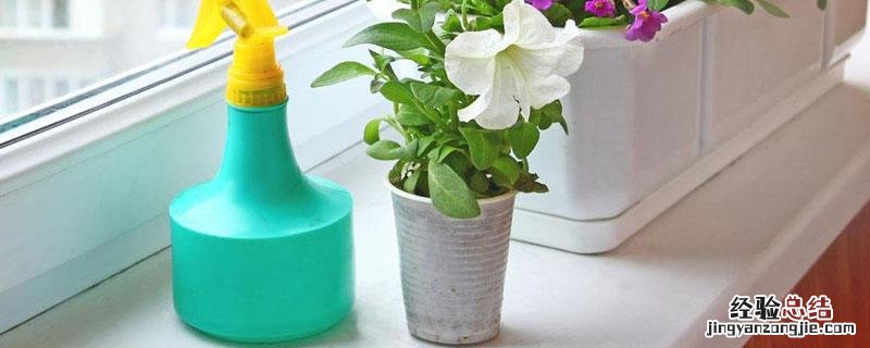 百虫灵灌根多久用一次 百虫灵灌根使用方法