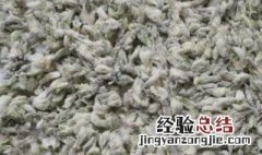 槐花放冰箱一年了还能吃吗 槐花放冰箱一年了还能吃吗为什么