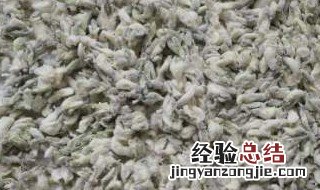 槐花放冰箱一年了还能吃吗 槐花放冰箱一年了还能吃吗为什么