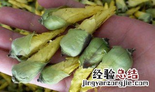 什么是京兰 京兰葵对人体的好处
