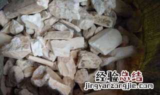 龙骨的功效与作用 中药龙骨的药用价值是什么