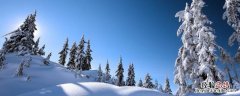 下雪了为什么要撒盐 下雪前撒盐还是下雪后撒盐
