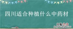 适合四川种植的名贵药材 四川适合种植什么中药材