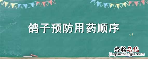 鸽子预防用药顺序是什么 鸽子预防用药顺序