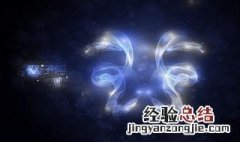 双子座女生的专属花 双子座女生的专属花是什么