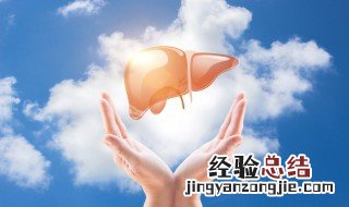 肝火旺怎么调理吃什么 肝火旺可以吃什么食物