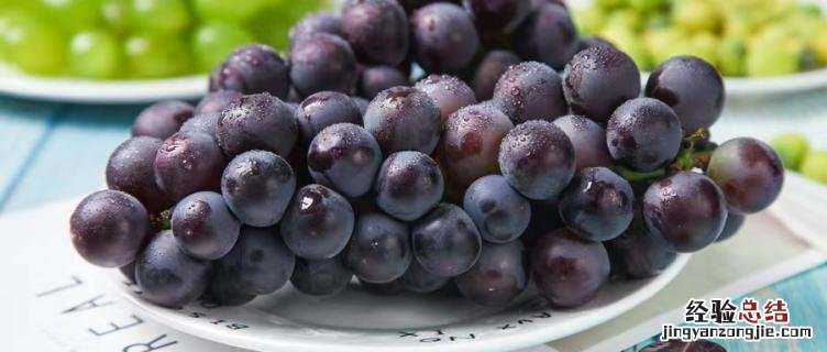 巨峰葡萄为什么叫巨峰 巨峰葡萄为什么叫巨峰葡萄