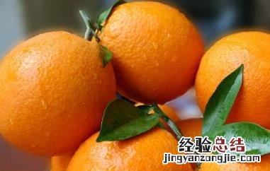 女人每天吃橙子有什么好处 女人每天吃橙子的好处