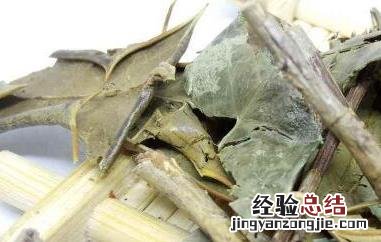 八角茶的功效与作用及药用价值 八角茶的功效与作用及药用价值禁忌