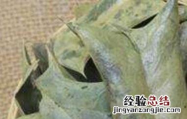八角茶的功效与作用及药用价值 八角茶的功效与作用及药用价值禁忌