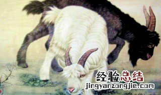 属羊害太岁如何化解 属羊犯太岁如何化解
