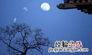 明月别枝中别枝的意思 明月别枝中原文介绍
