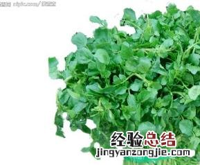 西洋菜的材料和做法 西洋菜咋做