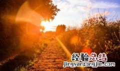 很温柔很惊艳的文案 很温柔很惊艳的文案短句