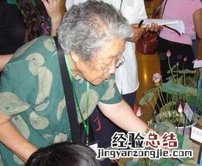 碗莲的种植方法和注意事项 碗莲的种植方法