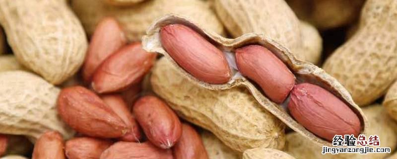 花生米怎么保存不生虫不生霉菌 花生米怎样保存不生虫不发霉