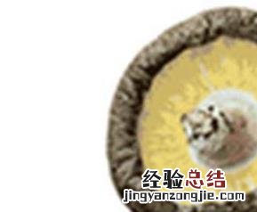 冬菇的营养价值及功效 冬菇的营养价值