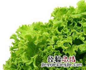 生菜的营养价值高吗 生菜的营养价值