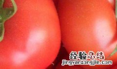 北方什么时候种西红柿 北方什么时候种西红柿育苗