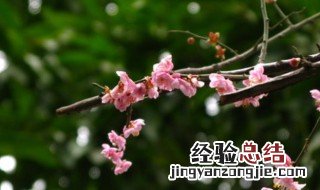 feb是几月 feb是几月的缩写