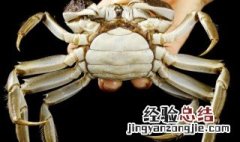 怎么洗螃蟹才干净视频 怎么洗螃蟹