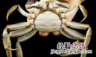 怎么洗螃蟹才干净视频 怎么洗螃蟹